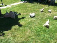 /album/fotos-recentes-/fotos-069-jpg/